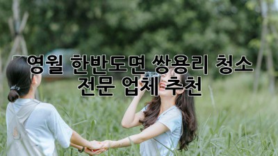 영월 한반도면 쌍용리 청소 전문 업체 추천